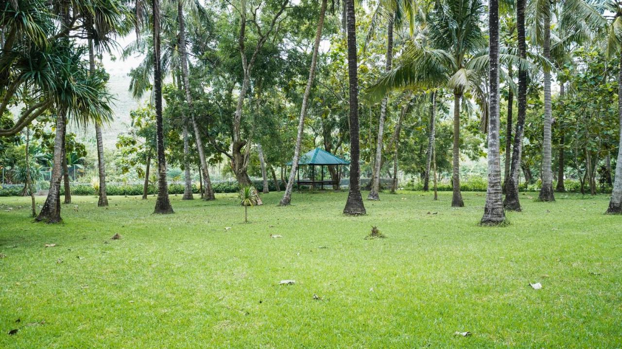 Belongas Bay Sekotong